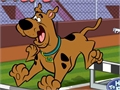 Scooby ડૂ - Steeplechase ઑનલાઇન રમવા માટે